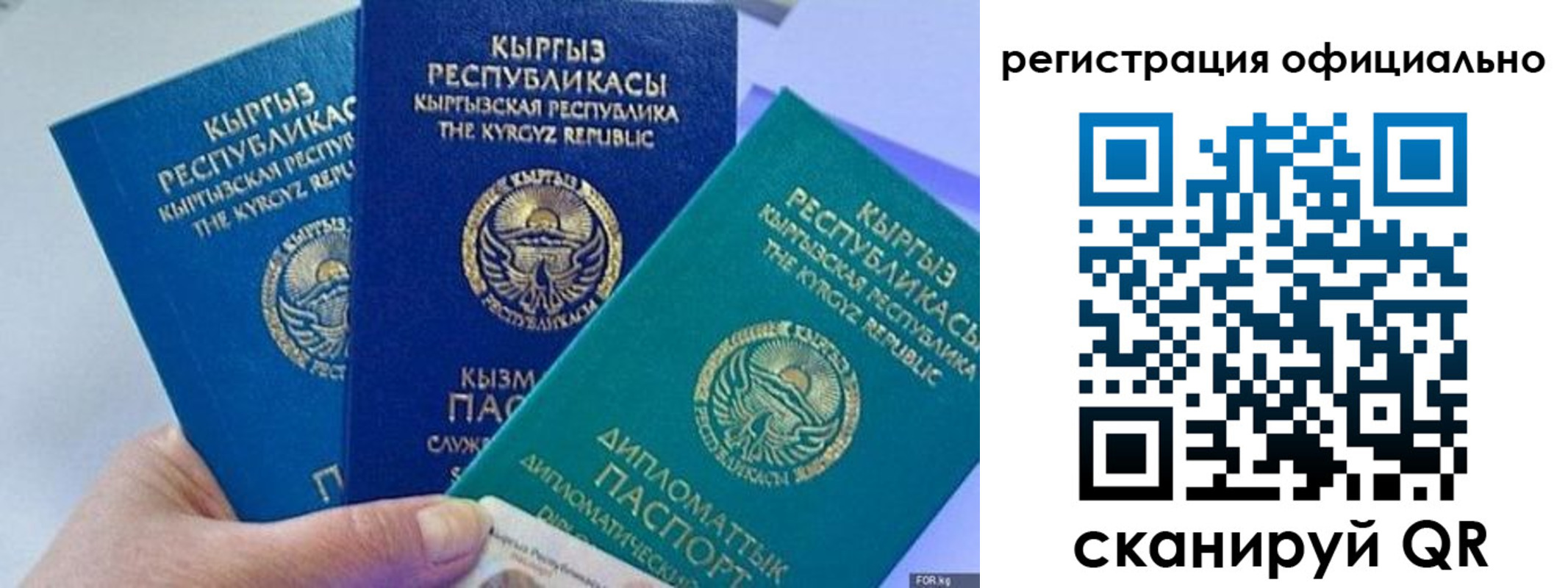 прописка в Боброве